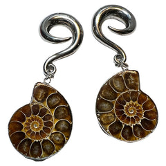 Ammonite Stainless Hangers Ear Weights 6 gauge (4mm) Stainless Steel